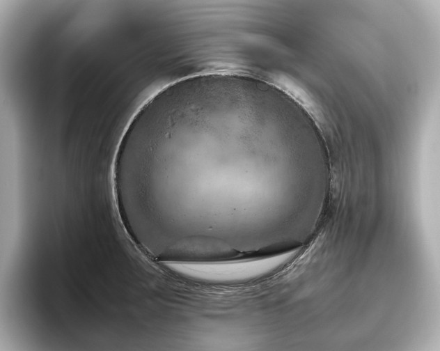 X0000096641283200802051120