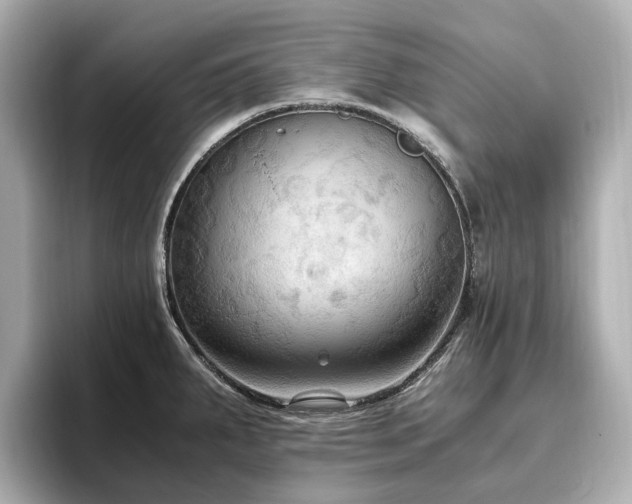 X0000096641287200802051120