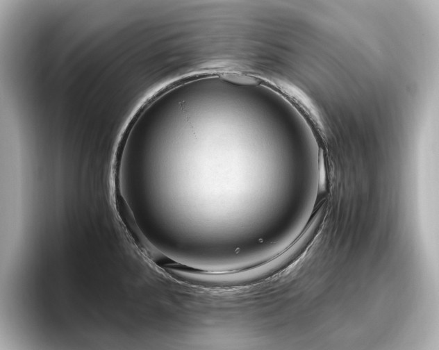 X0000096641288200802051120