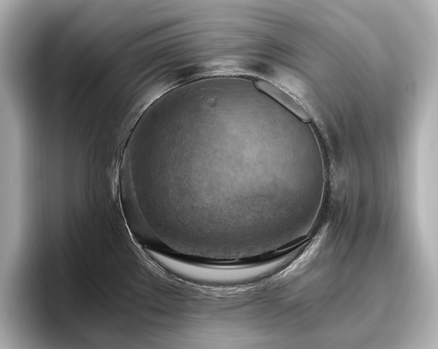 X0000096641289200802051120