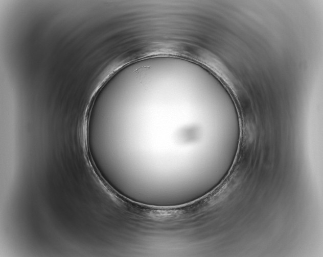 X0000096641290200802051120