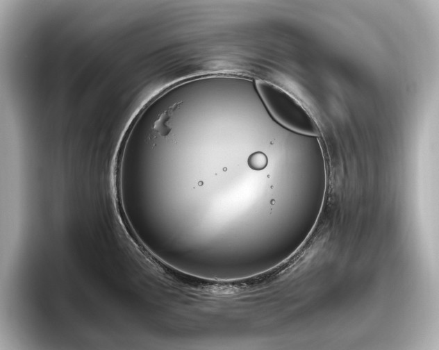 X0000096641291200802051120