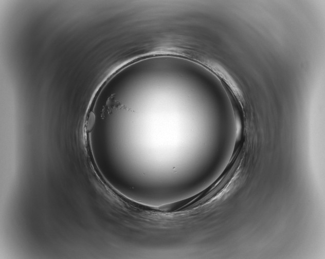X0000096641292200802051120