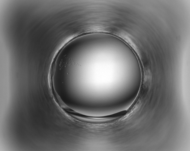 X0000096641293200802051120