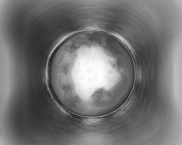 X0000096641294200802051120