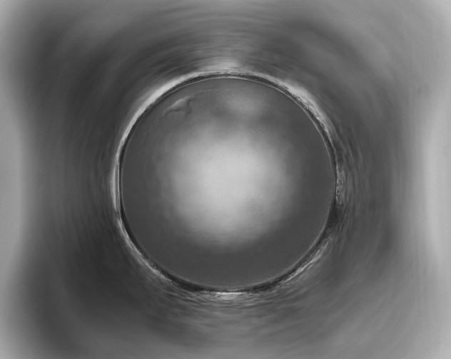 X0000096641295200802051120