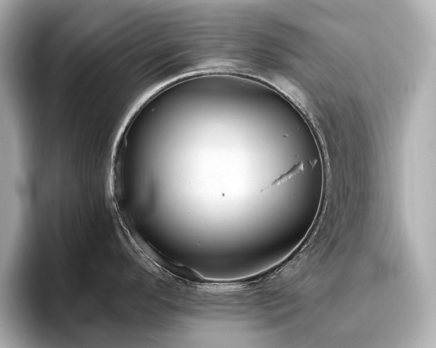 X0000096641296200802051120