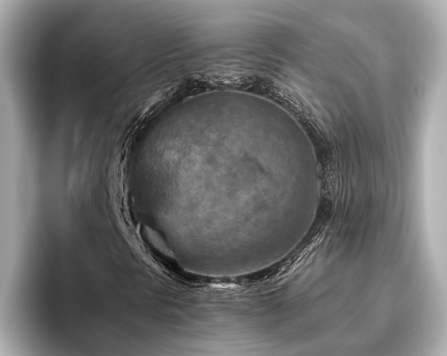 X0000096641297200802051119