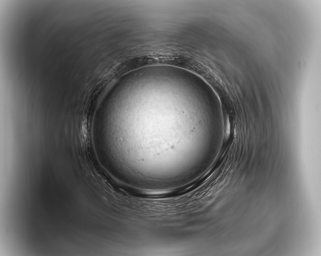 X0000096641298200802051119