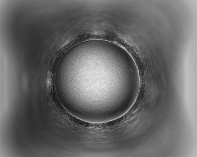 X0000096641301200802051119
