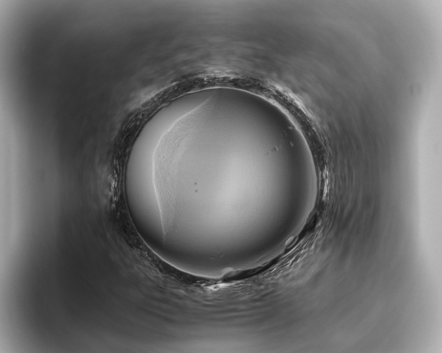 X0000096641303200802051119