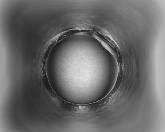 X0000096641304200802051120