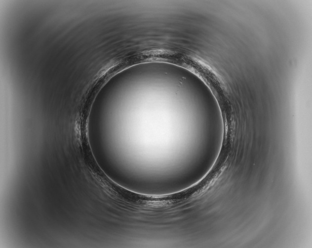 X0000096641305200802051120