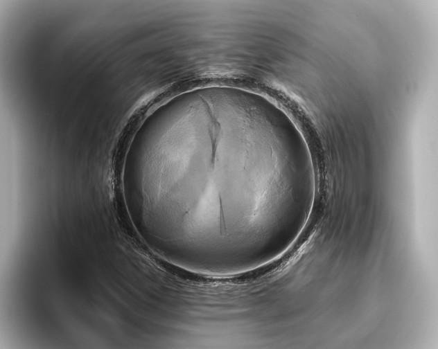 X0000096641306200802051120