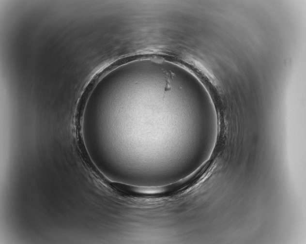 X0000096641308200802051120