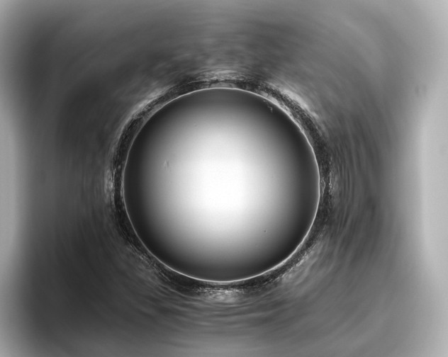 X0000096641309200802051120
