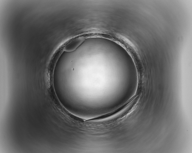 X0000096641310200802051120