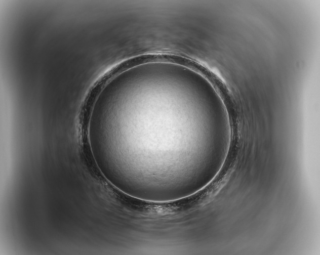 X0000096641311200802051120