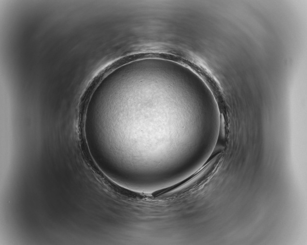 X0000096641312200802051120