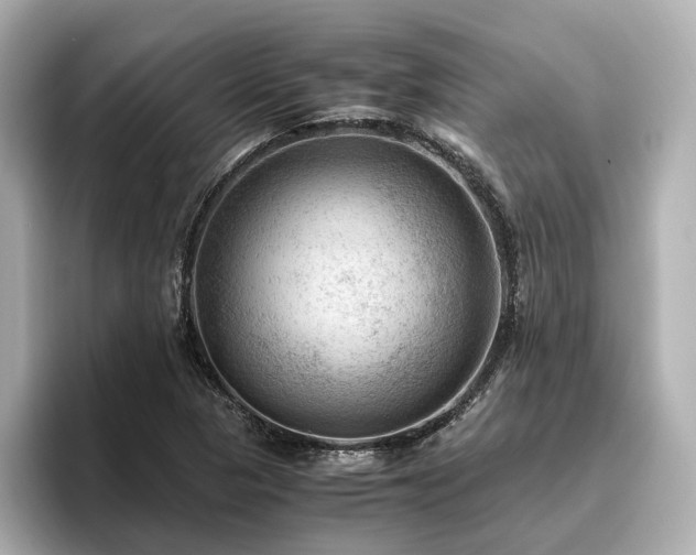 X0000096641313200802051120