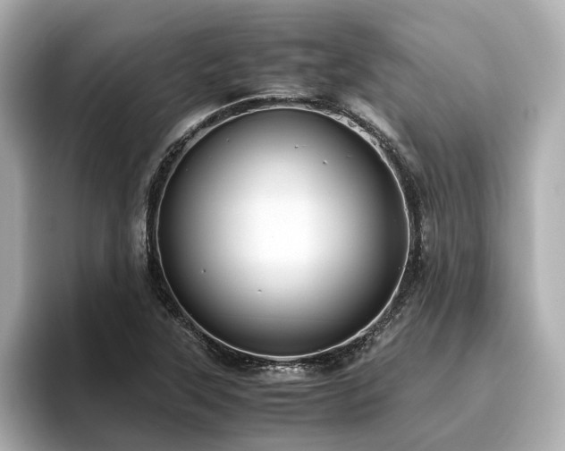 X0000096641315200802051120