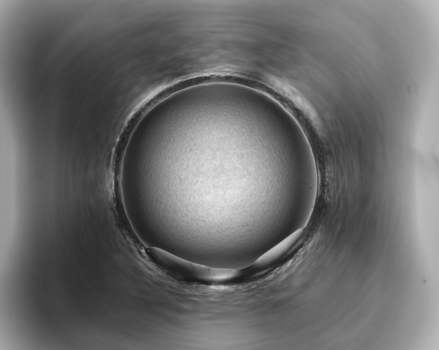X0000096641316200802051120