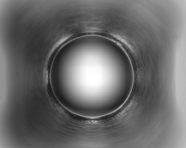 X0000096641317200802051120
