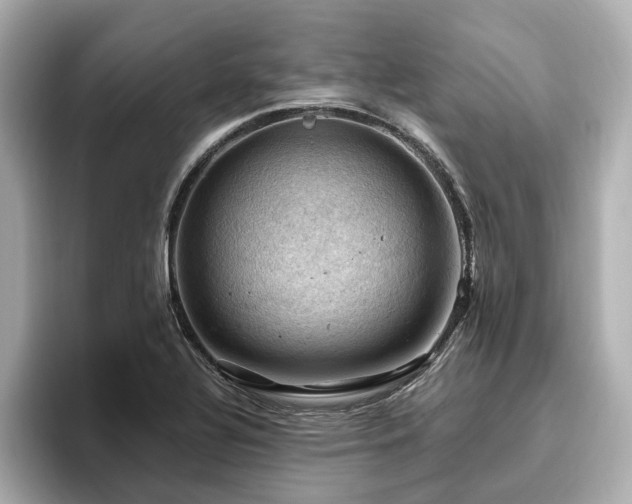 X0000096641320200802051120