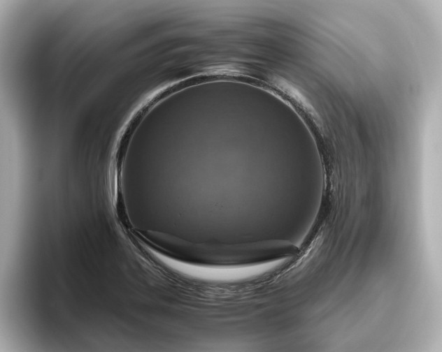 X0000096641323200802051120