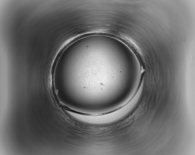 X0000096641324200802051120