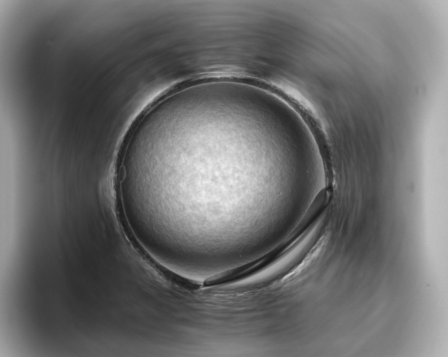 X0000096641325200802051120