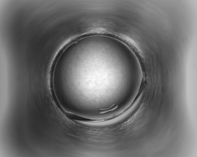 X0000096641326200802051120