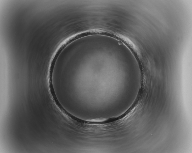 X0000096641327200802051120