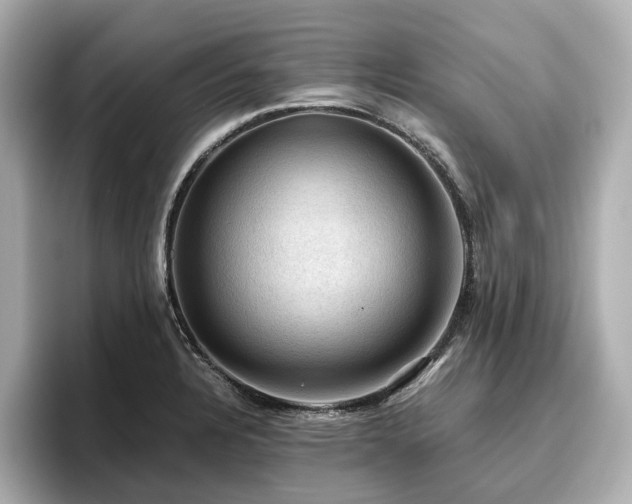 X0000096641328200802051120