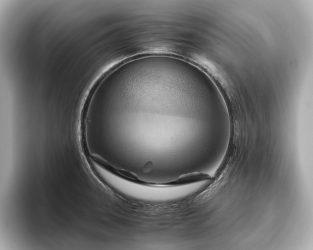 X0000096641331200802051120