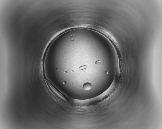 X0000096641332200802051120