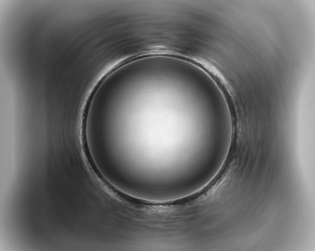 X0000096641333200802051120