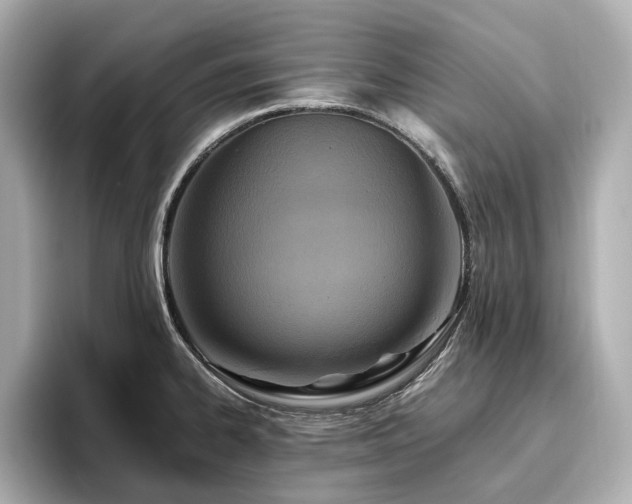 X0000096641334200802051120