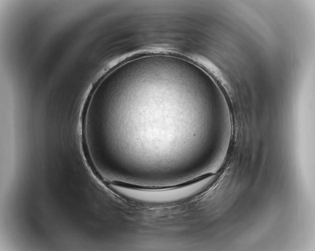X0000096641335200802051120
