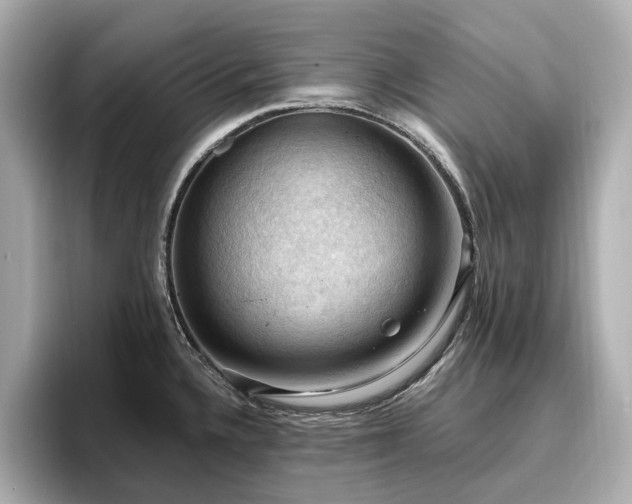 X0000096641336200802051120
