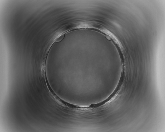 X0000096641337200802051120