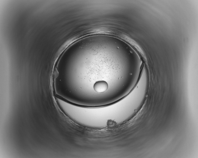 X0000096641338200802051120