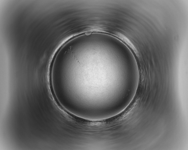 X0000096641339200802051120