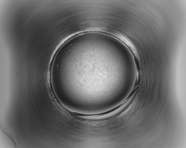 X0000096641340200802051120