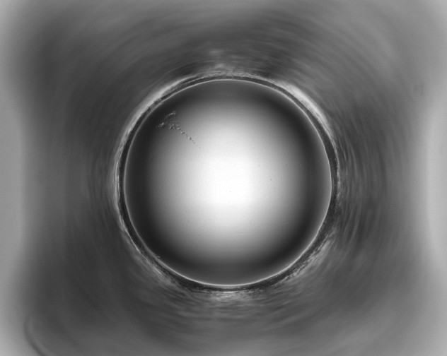 X0000096641341200802051120