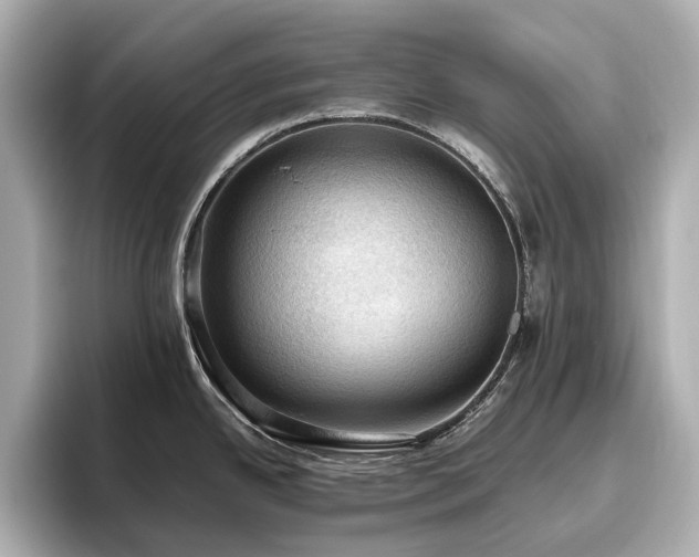 X0000096641342200802051120