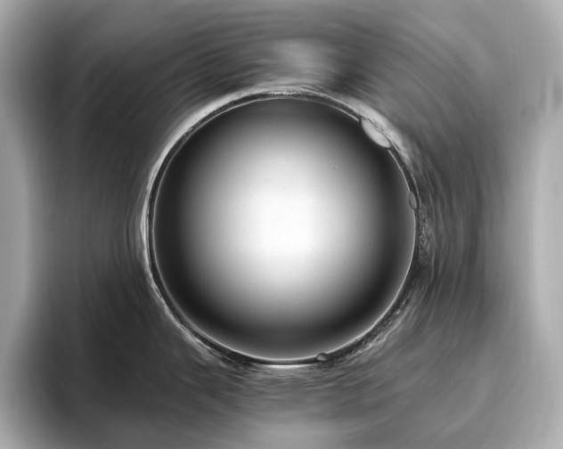 X0000096641343200802051120