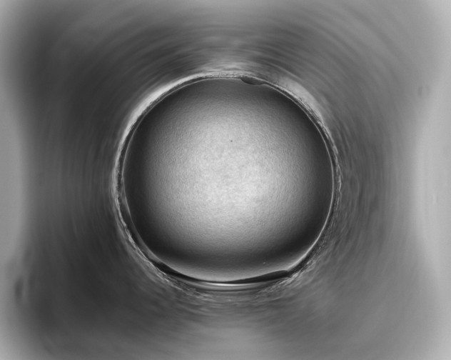 X0000096641344200802051120