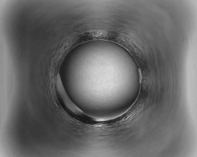 X0000096641345200802051119