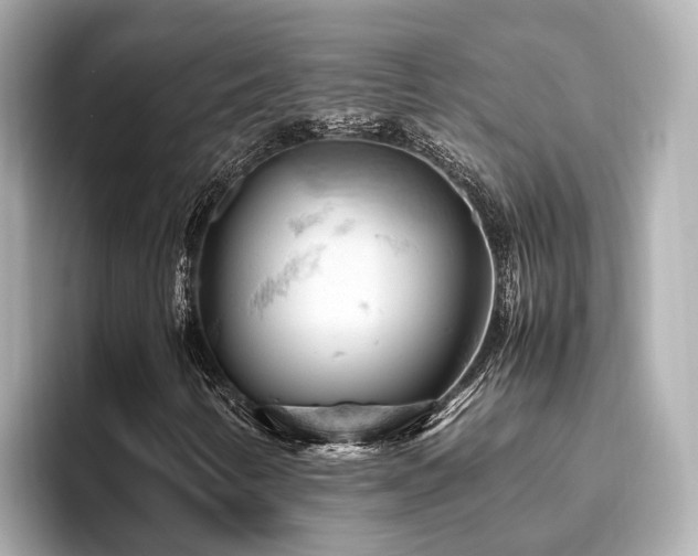 X0000096641346200802051119